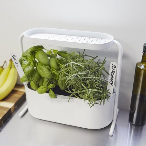 New in Box Umbra Giardino Indoor Herb Garden Set - Picture 8 of 14